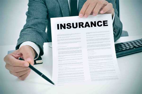 admin/assets/images/Insurance Service